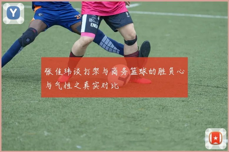 张佳玮谈打架与商务篮球的胜负心与气性之真实对比