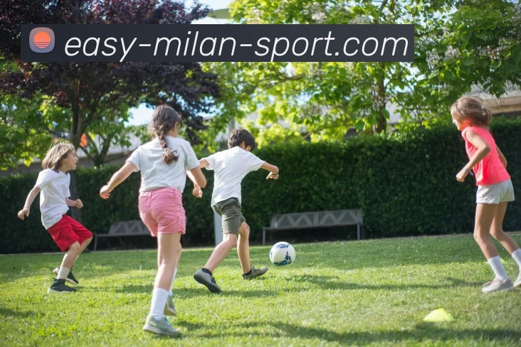 米兰体育平台生态图